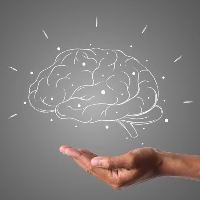 Neurorrehabilitación Logopédica Gandía