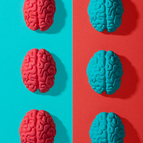 Neurorrehabilitación Logopédica en Gandía