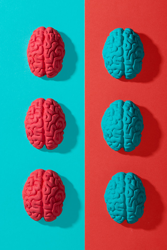 Neurorrehabilitación Logopédica en Gandía